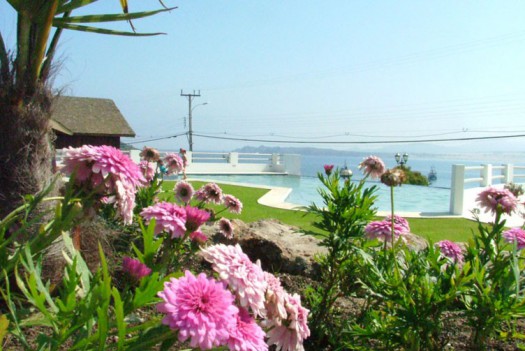 Piscina Vista a la bahía