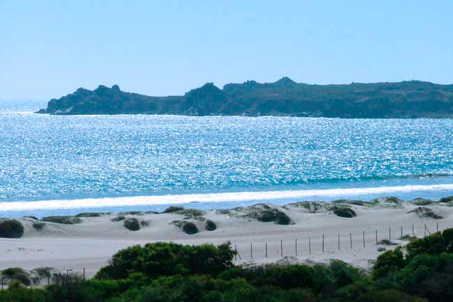 Punta Quelén